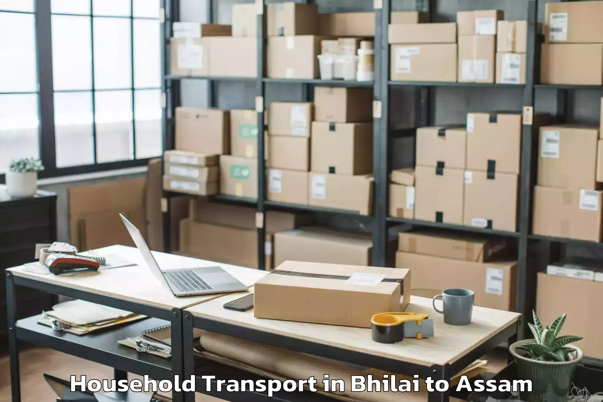 Trusted Bhilai to Khoirabari Pt Household Transport